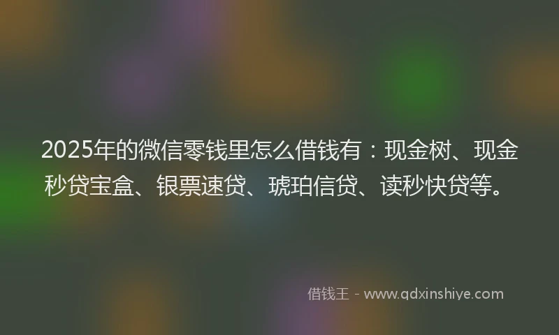 2025年的微信零钱里怎么借钱有：现金树、现金秒贷宝盒、银票速贷、琥珀信贷、读秒快贷等。