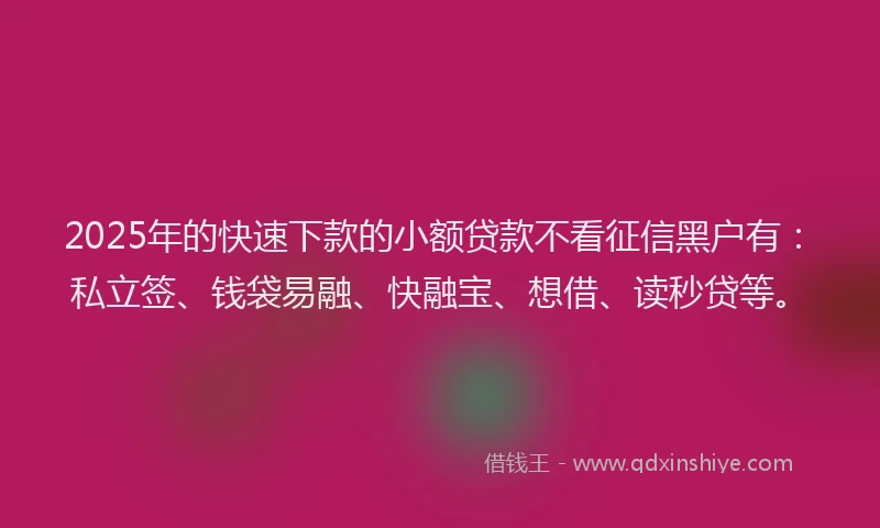 2025年的快速下款的小额贷款不看征信黑户有：私立签、钱袋易融、快融宝、想借、读秒贷等。