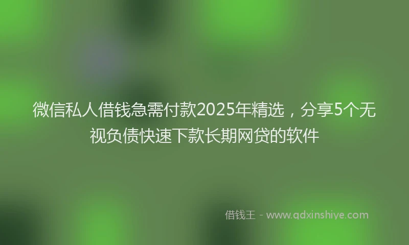 微信私人借钱急需付款2025年精选，分享5个无视负债快速下款长期网贷的软件
