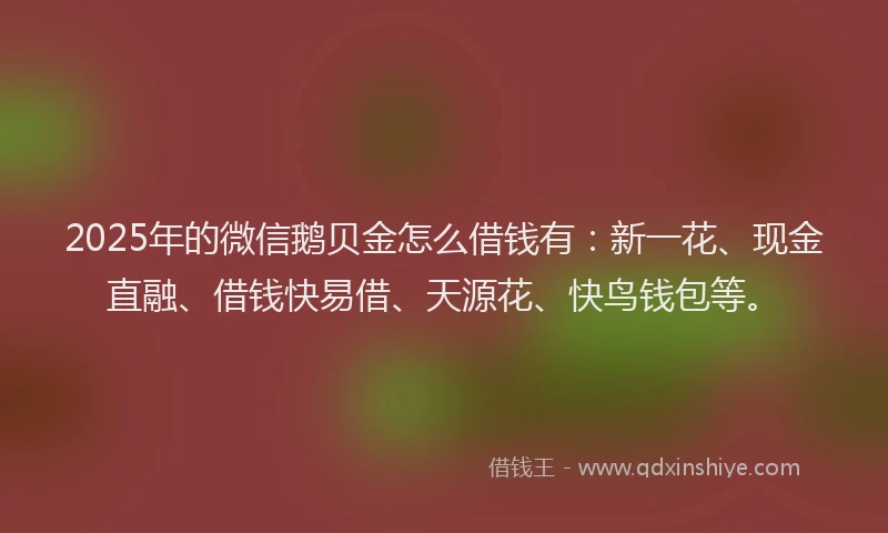 2025年的微信鹅贝金怎么借钱有：新一花、现金直融、借钱快易借、天源花、快鸟钱包等。