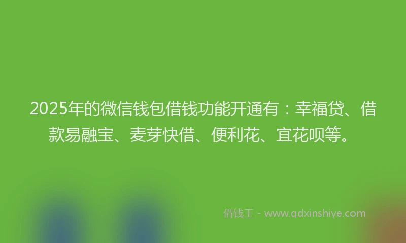2025年的微信钱包借钱功能开通有：幸福贷、借款易融宝、麦芽快借、便利花、宜花呗等。