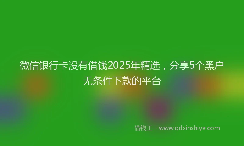微信银行卡没有借钱2025年精选，分享5个黑户无条件下款的平台