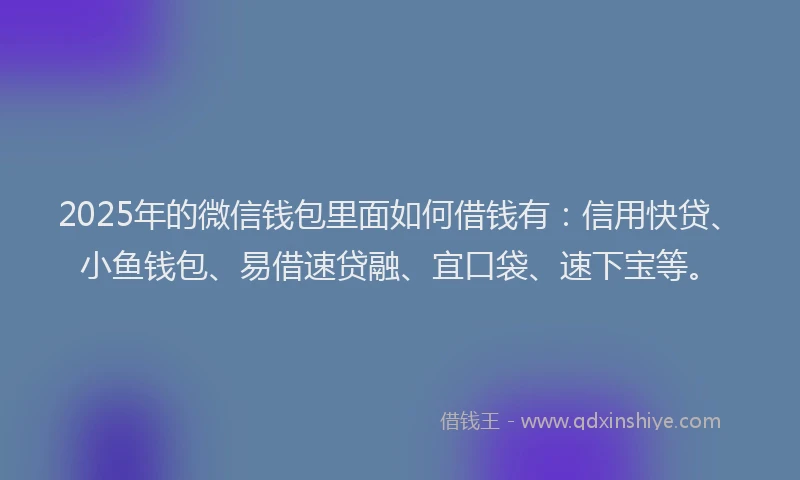 2025年的微信钱包里面如何借钱有：信用快贷、小鱼钱包、易借速贷融、宜口袋、速下宝等。