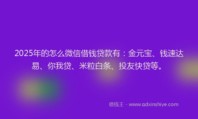 2025年的怎么微信借钱贷款有：金元宝、钱速达易、你我贷、米粒白条、投友快贷等。