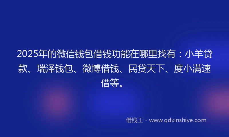 2025年的微信钱包借钱功能在哪里找有：小羊贷款、瑞泽钱包、微博借钱、民贷天下、度小满速借等。