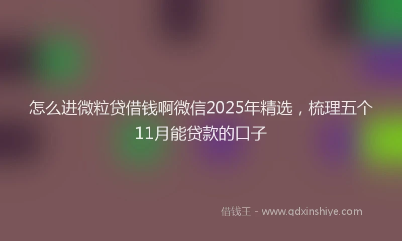 怎么进微粒贷借钱啊微信2025年精选，梳理五个11月能贷款的口子