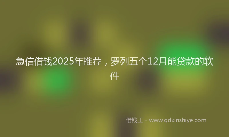 急信借钱2025年推荐，罗列五个12月能贷款的软件