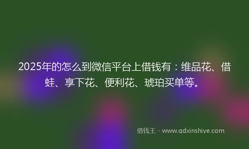 2025年的怎么到微信平台上借钱有：维品花、借蛙、享下花、便利花、琥珀买单等。