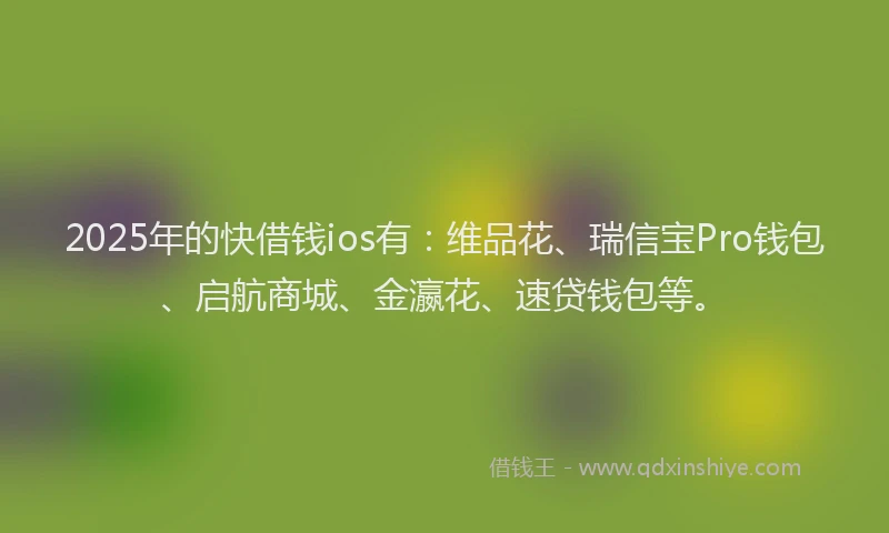 2025年的快借钱ios有：维品花、瑞信宝Pro钱包、启航商城、金瀛花、速贷钱包等。