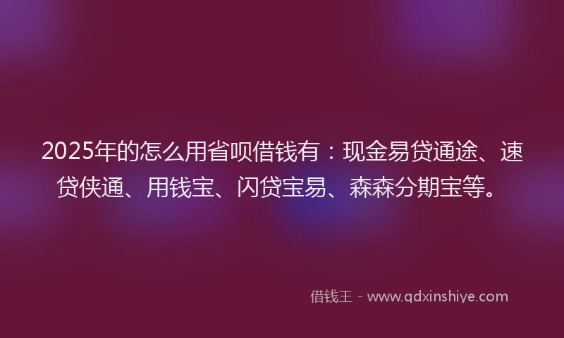 2025年的怎么用省呗借钱有：现金易贷通途、速贷侠通、用钱宝、闪贷宝易、森森分期宝等。