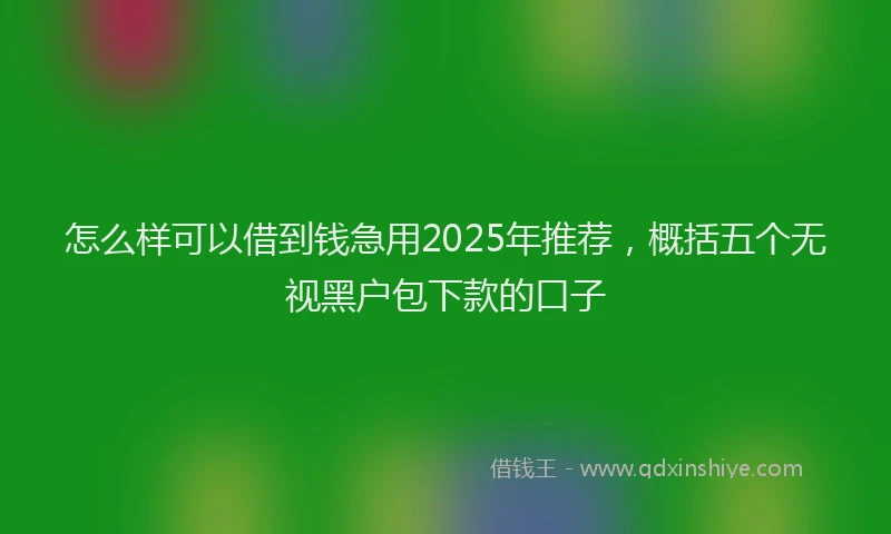 怎么样可以借到钱急用2025年推荐，概括五个无视黑户包下款的口子