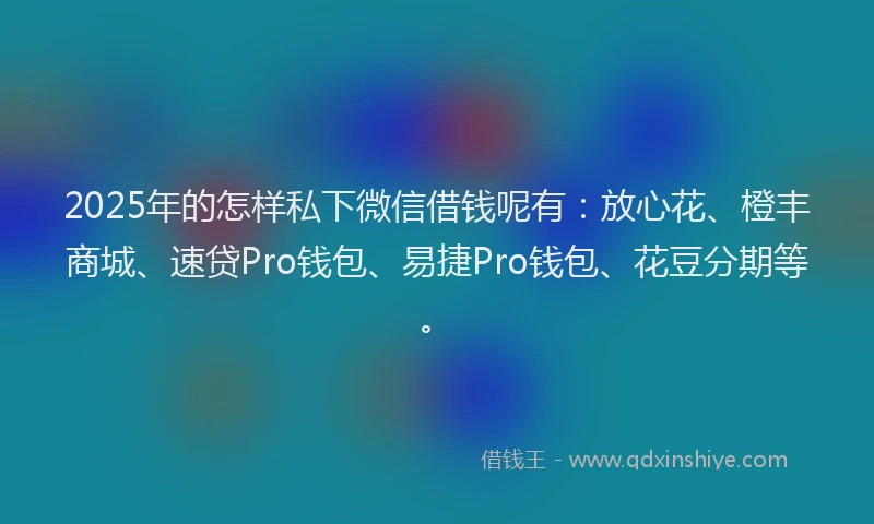 2025年的怎样私下微信借钱呢有：放心花、橙丰商城、速贷Pro钱包、易捷Pro钱包、花豆分期等。