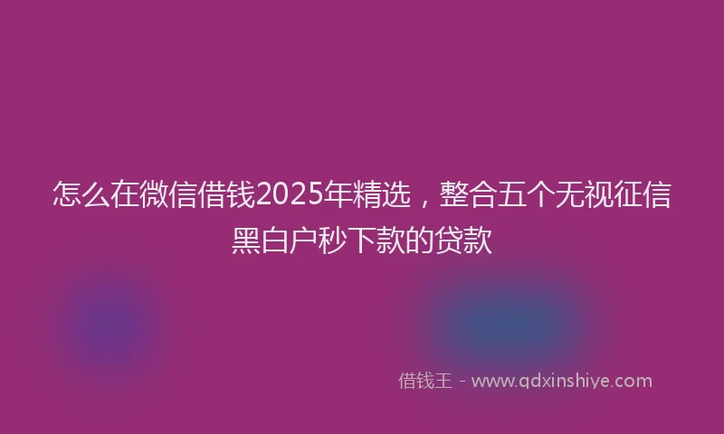 怎么在微信借钱2025年精选，整合五个无视征信黑白户秒下款的贷款