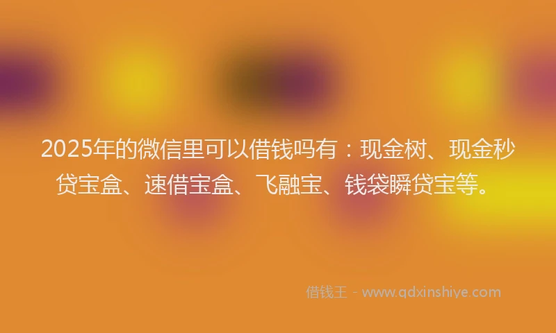 2025年的微信里可以借钱吗有：现金树、现金秒贷宝盒、速借宝盒、飞融宝、钱袋瞬贷宝等。