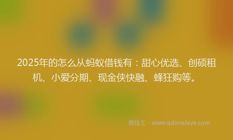 2025年的怎么从蚂蚁借钱有：甜心优选、创硕租机、小爱分期、现金侠快融、蜂狂购等。