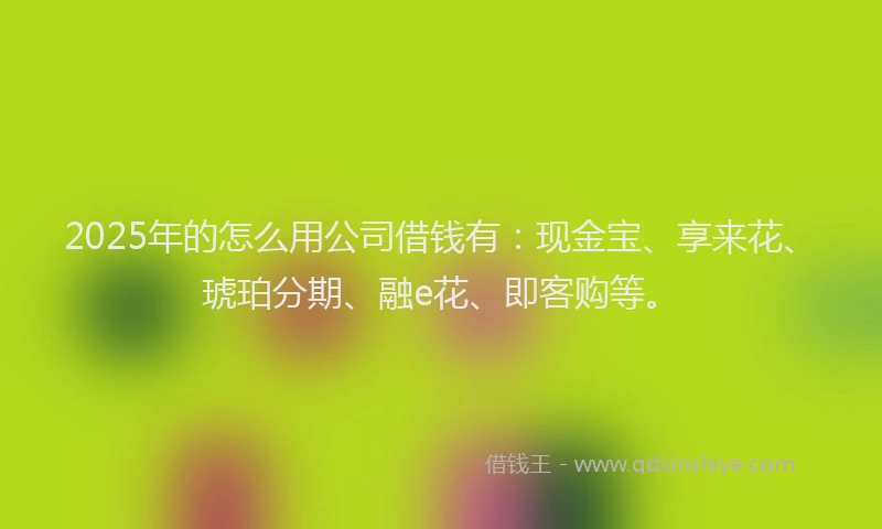 2025年的怎么用公司借钱有：现金宝、享来花、琥珀分期、融e花、即客购等。
