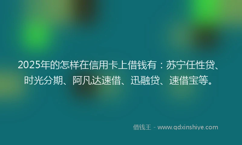 2025年的怎样在信用卡上借钱有：苏宁任性贷、时光分期、阿凡达速借、迅融贷、速借宝等。