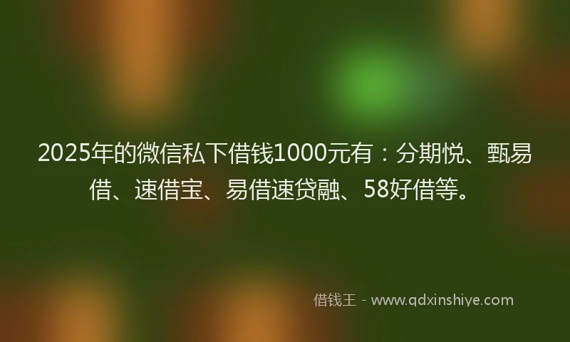 2025年的微信私下借钱1000元有：分期悦、甄易借、速借宝、易借速贷融、58好借等。