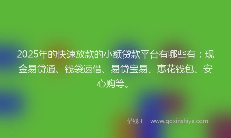 2025年的快速放款的小额贷款平台有哪些有：现金易贷通、钱袋速借、易贷宝易、惠花钱包、安心购等。