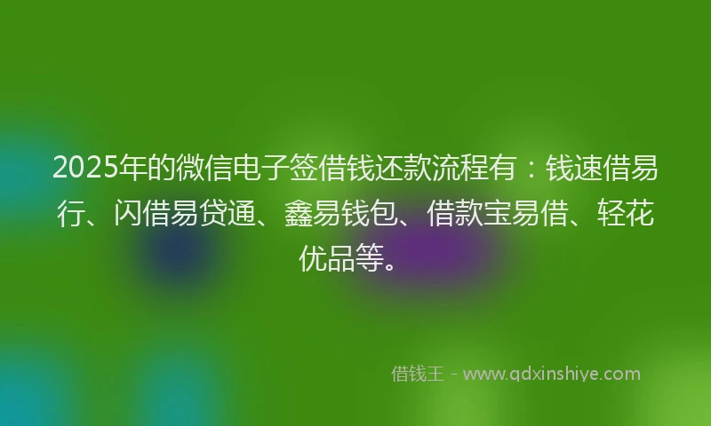 2025年的微信电子签借钱还款流程有：钱速借易行、闪借易贷通、鑫易钱包、借款宝易借、轻花优品等。