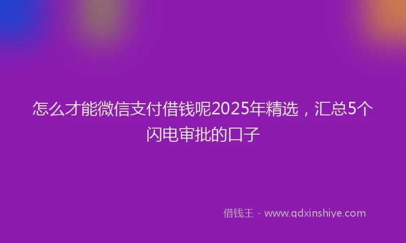 怎么才能微信支付借钱呢2025年精选，汇总5个闪电审批的口子