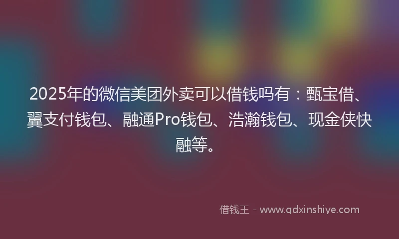 2025年的微信美团外卖可以借钱吗有：甄宝借、翼支付钱包、融通Pro钱包、浩瀚钱包、现金侠快融等。