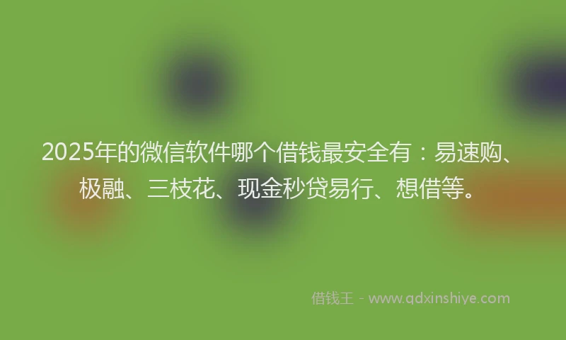 2025年的微信软件哪个借钱最安全有：易速购、极融、三枝花、现金秒贷易行、想借等。