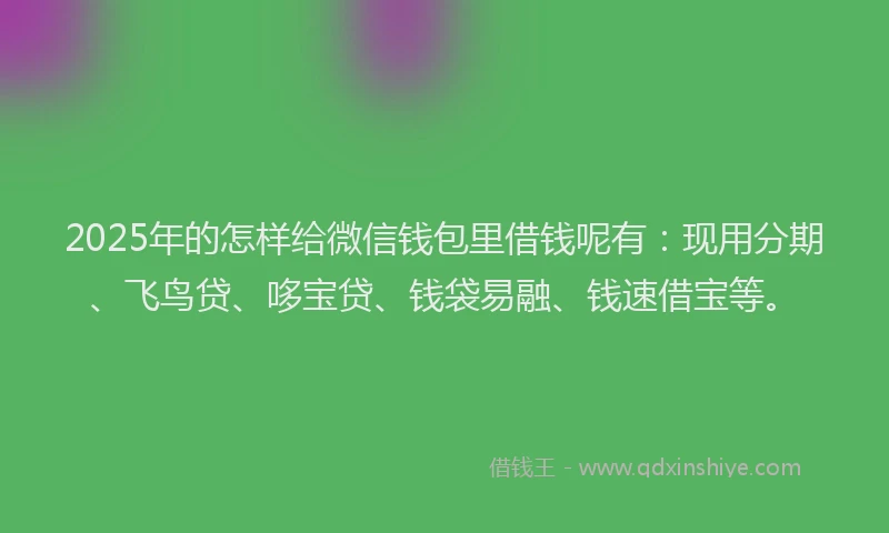 2025年的怎样给微信钱包里借钱呢有：现用分期、飞鸟贷、哆宝贷、钱袋易融、钱速借宝等。