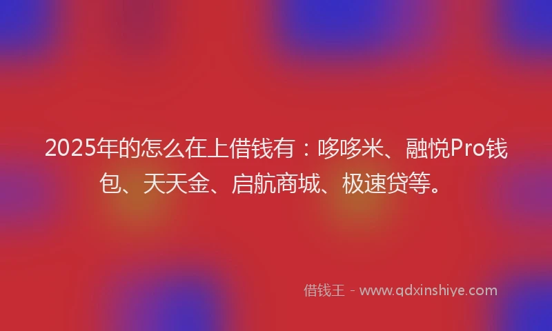 2025年的怎么在上借钱有：哆哆米、融悦Pro钱包、天天金、启航商城、极速贷等。