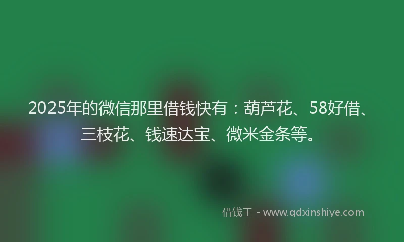 2025年的微信那里借钱快有：葫芦花、58好借、三枝花、钱速达宝、微米金条等。