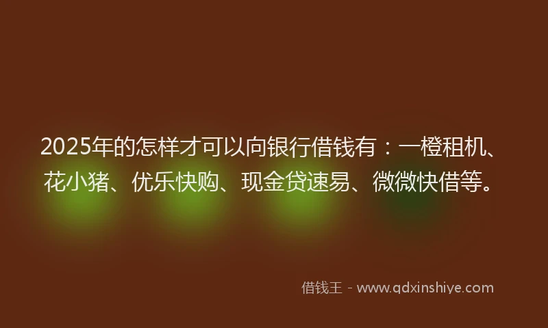 2025年的怎样才可以向银行借钱有：一橙租机、花小猪、优乐快购、现金贷速易、微微快借等。