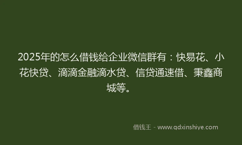 2025年的怎么借钱给企业微信群有：快易花、小花快贷、滴滴金融滴水贷、信贷通速借、秉鑫商城等。
