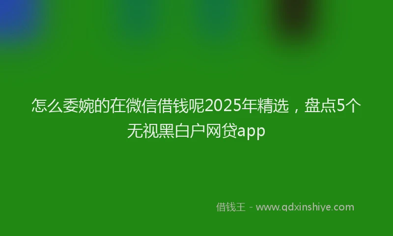 怎么委婉的在微信借钱呢2025年精选，盘点5个无视黑白户网贷app
