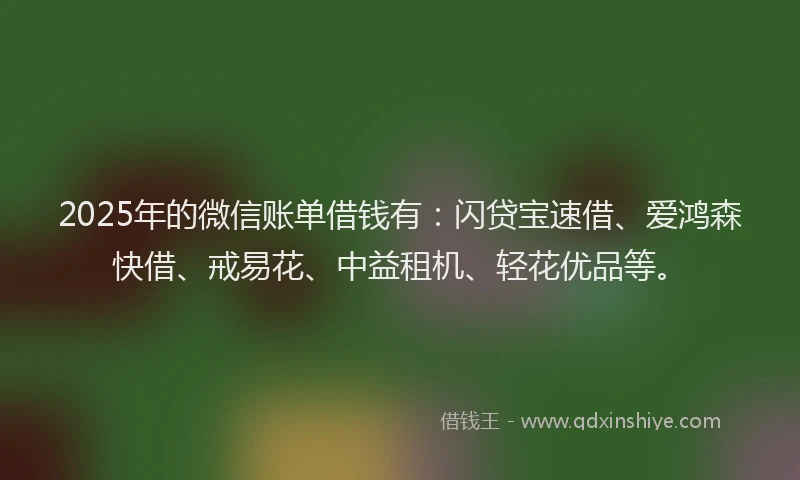 2025年的微信账单借钱有：闪贷宝速借、爱鸿森快借、戒易花、中益租机、轻花优品等。