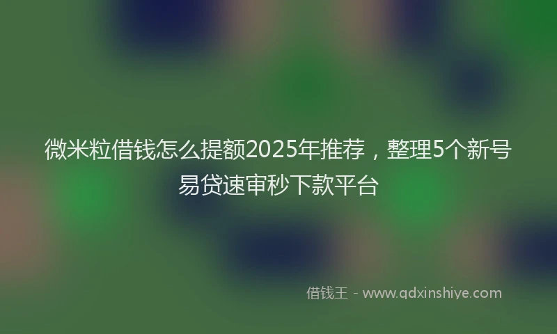 微米粒借钱怎么提额2025年推荐，整理5个新号易贷速审秒下款平台