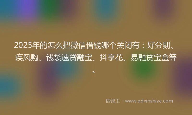 2025年的怎么把微信借钱哪个关闭有：好分期、疾风购、钱袋速贷融宝、抖享花、易融贷宝盒等。