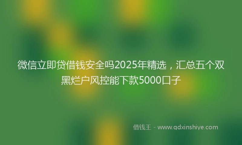 微信立即贷借钱安全吗2025年精选，汇总五个双黑烂户风控能下款5000口子