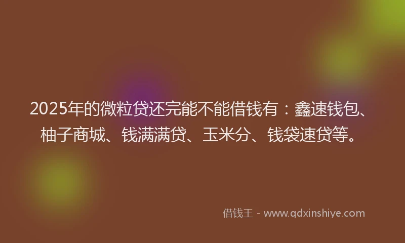 2025年的微粒贷还完能不能借钱有：鑫速钱包、柚子商城、钱满满贷、玉米分、钱袋速贷等。
