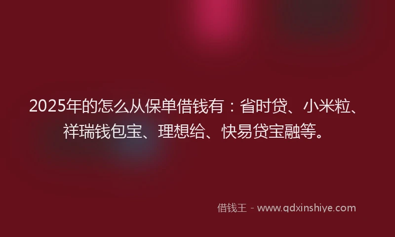 2025年的怎么从保单借钱有：省时贷、小米粒、祥瑞钱包宝、理想给、快易贷宝融等。