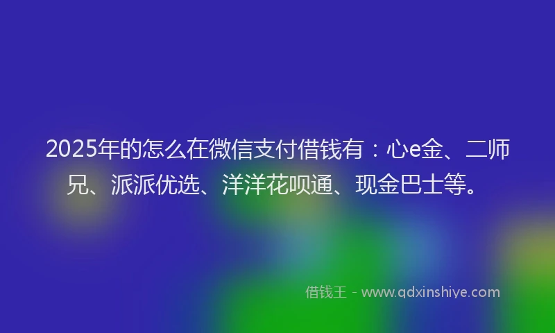 2025年的怎么在微信支付借钱有：心e金、二师兄、派派优选、洋洋花呗通、现金巴士等。