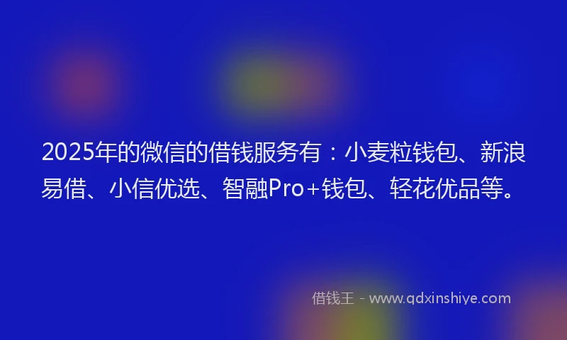 2025年的微信的借钱服务有：小麦粒钱包、新浪易借、小信优选、智融Pro+钱包、轻花优品等。