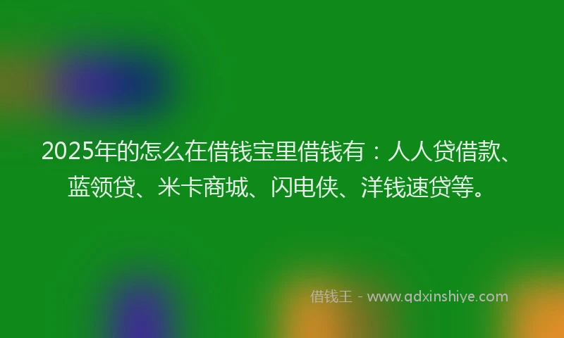 2025年的怎么在借钱宝里借钱有：人人贷借款、蓝领贷、米卡商城、闪电侠、洋钱速贷等。