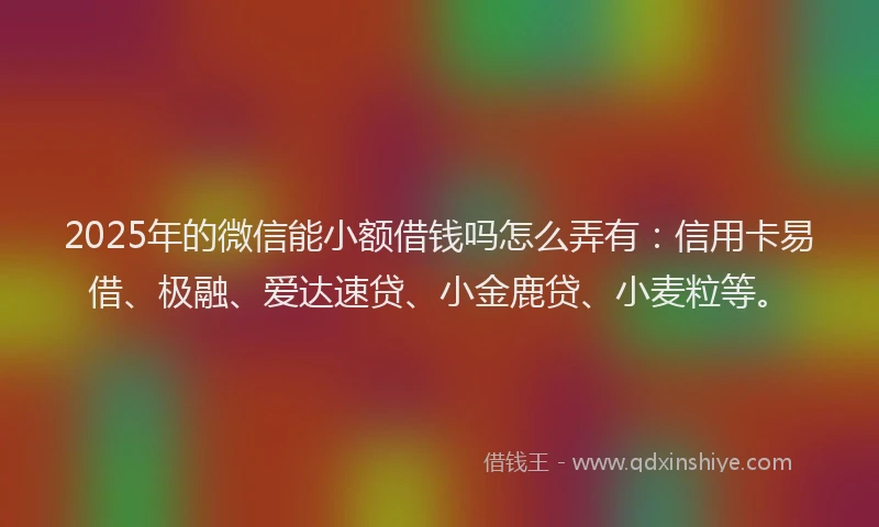 2025年的微信能小额借钱吗怎么弄有：信用卡易借、极融、爱达速贷、小金鹿贷、小麦粒等。