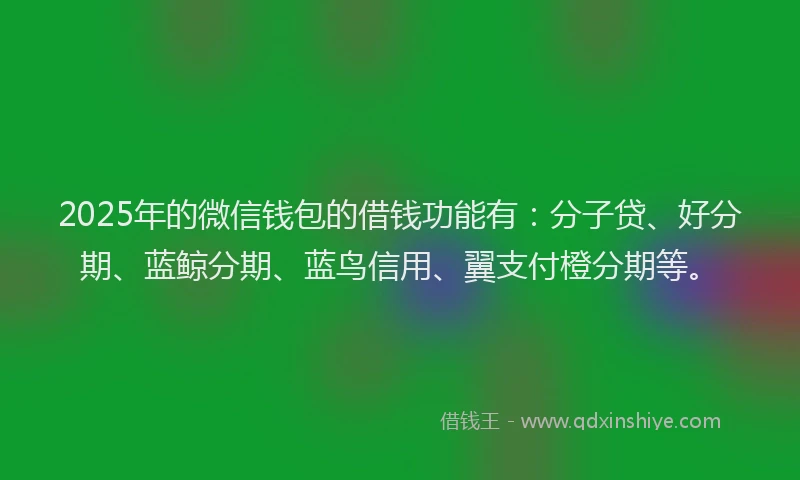 2025年的微信钱包的借钱功能有：分子贷、好分期、蓝鲸分期、蓝鸟信用、翼支付橙分期等。
