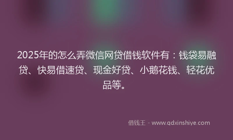 2025年的怎么弄微信网贷借钱软件有：钱袋易融贷、快易借速贷、现金好贷、小鹅花钱、轻花优品等。