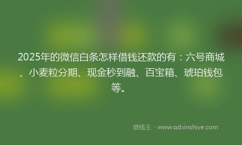 2025年的微信白条怎样借钱还款的有：六号商城、小麦粒分期、现金秒到融、百宝箱、琥珀钱包等。