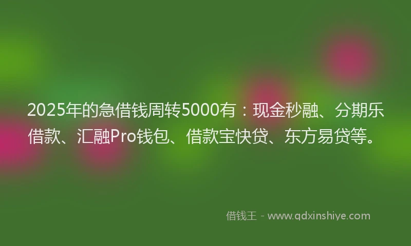 2025年的急借钱周转5000有：现金秒融、分期乐借款、汇融Pro钱包、借款宝快贷、东方易贷等。