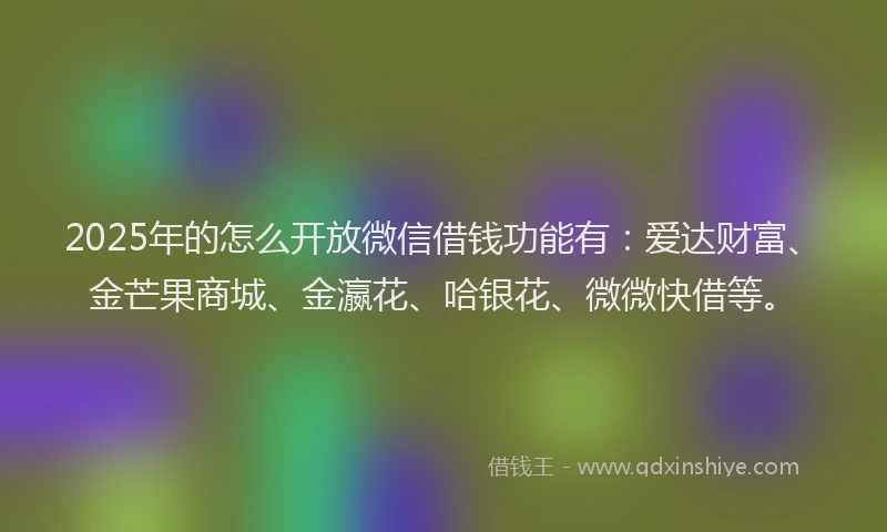 2025年的怎么开放微信借钱功能有：爱达财富、金芒果商城、金瀛花、哈银花、微微快借等。