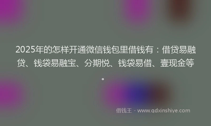2025年的怎样开通微信钱包里借钱有：借贷易融贷、钱袋易融宝、分期悦、钱袋易借、壹现金等。