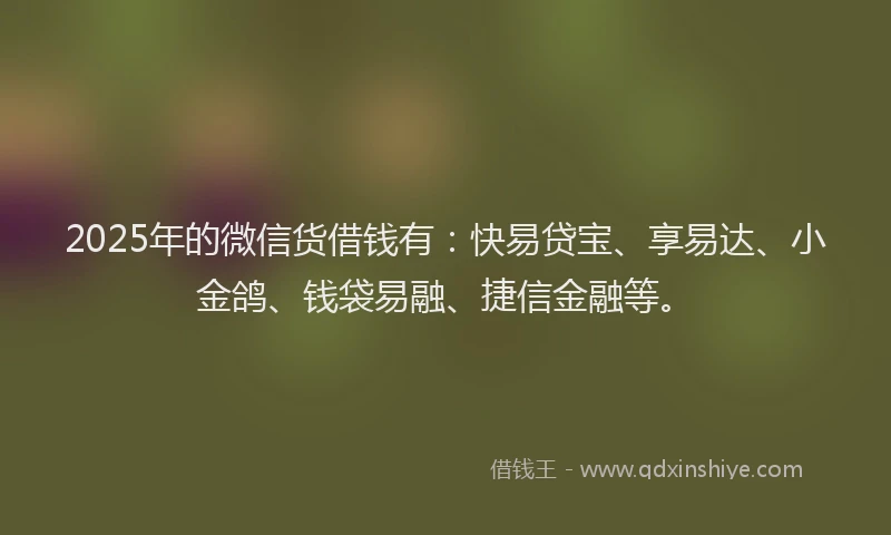 2025年的微信货借钱有：快易贷宝、享易达、小金鸽、钱袋易融、捷信金融等。